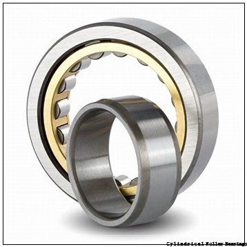 3.346 Inch | 85 Millimeter x 3.792 Inch | 96.317 Millimeter x 0.866 Inch | 22 Millimeter  LINK BELT MS1017W853  Cylindrical Roller Bearings