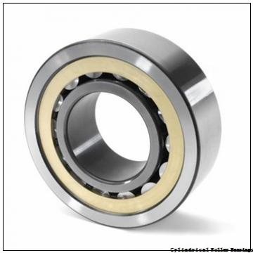 2.559 Inch | 65 Millimeter x 4.724 Inch | 120 Millimeter x 0.906 Inch | 23 Millimeter  LINK BELT MA1213EXC3  Cylindrical Roller Bearings
