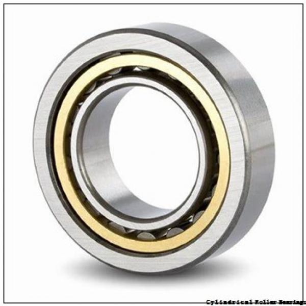 1.772 Inch | 45 Millimeter x 3.937 Inch | 100 Millimeter x 0.984 Inch | 25 Millimeter  LINK BELT MA1309EXC4M  Cylindrical Roller Bearings #3 image