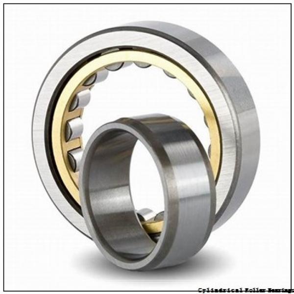 3.776 Inch | 95.92 Millimeter x 6.302 Inch | 160.071 Millimeter x 1.811 Inch | 46 Millimeter  LINK BELT M67315EAHXW919  Cylindrical Roller Bearings #1 image