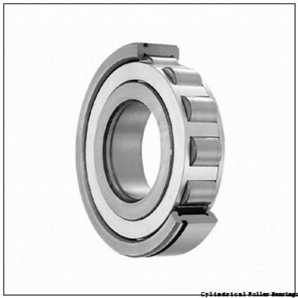 1.772 Inch | 45 Millimeter x 3.937 Inch | 100 Millimeter x 0.984 Inch | 25 Millimeter  LINK BELT MA1309EXC4M  Cylindrical Roller Bearings #1 image