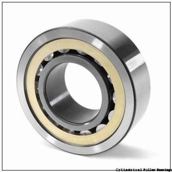 2.559 Inch | 65 Millimeter x 4.724 Inch | 120 Millimeter x 0.906 Inch | 23 Millimeter  LINK BELT MA1213EXC3  Cylindrical Roller Bearings #3 image